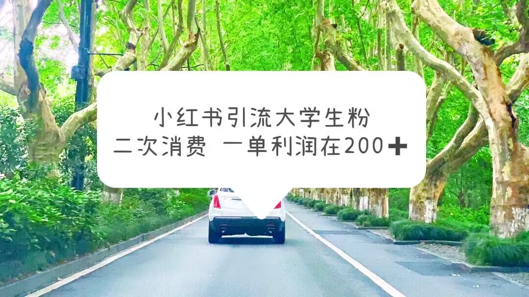 【副业项目5937期】小红书引流大学生粉，变现项目，一单利润在200+（教程+资源）-齐力副业