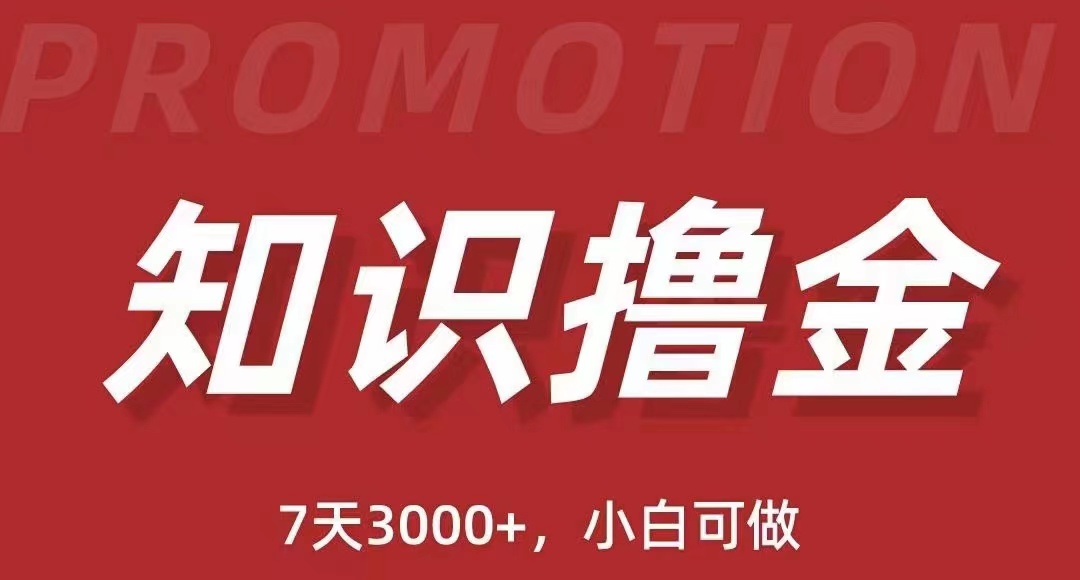 【副业项目5702期】抖音知识撸金项目：简单粗暴日入1000+执行力强当天见收益(教程+资料)-齐力副业