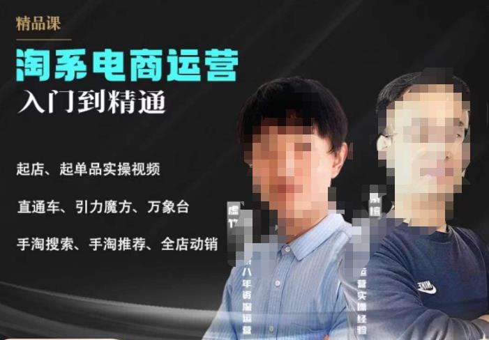【副业项目6098期】2023手淘搜索实操课+体系化课程，​起店起单品实操视频课程-齐力副业