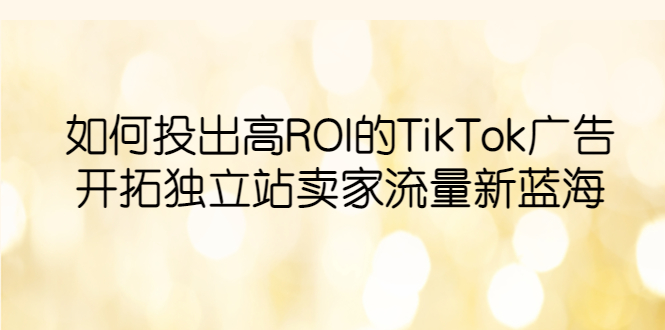 【副业项目6124期】如何投出高ROI·TikTok广告，开拓独立站卖家流量新蓝海-齐力副业