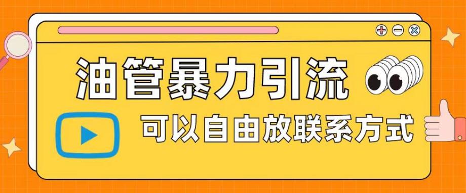 【副业项目6166期】油管暴力引流，可以自由放联系方式【揭秘】-齐力副业