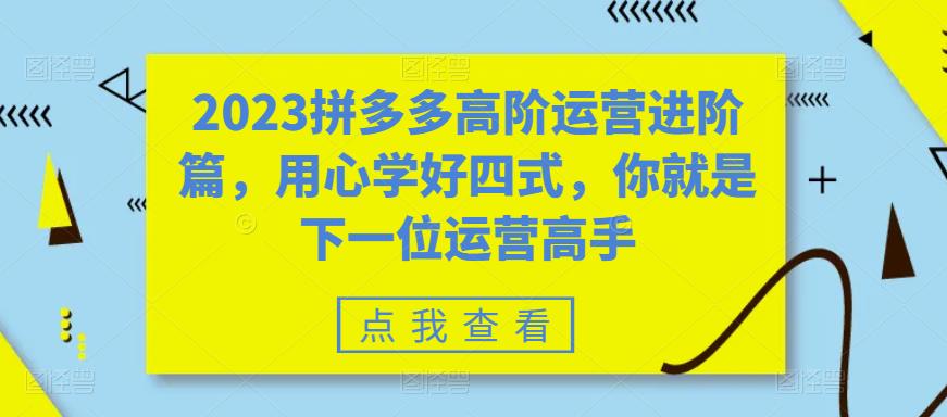 【副业项目6241期】2023拼多多高阶运营进阶篇，用心学好四式，你就是下一位运营高手-齐力副业