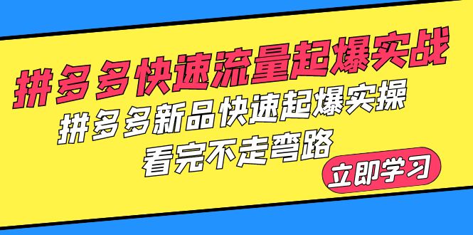 【副业项目6310期】拼多多-快速流量起爆实战，拼多多新品快速起爆实操，看完不走弯路-齐力副业