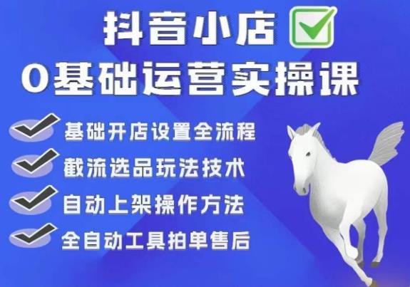 【副业项目6317期】白马电商·0基础抖店运营实操课，基础开店设置全流程，截流选品玩法技术-齐力副业