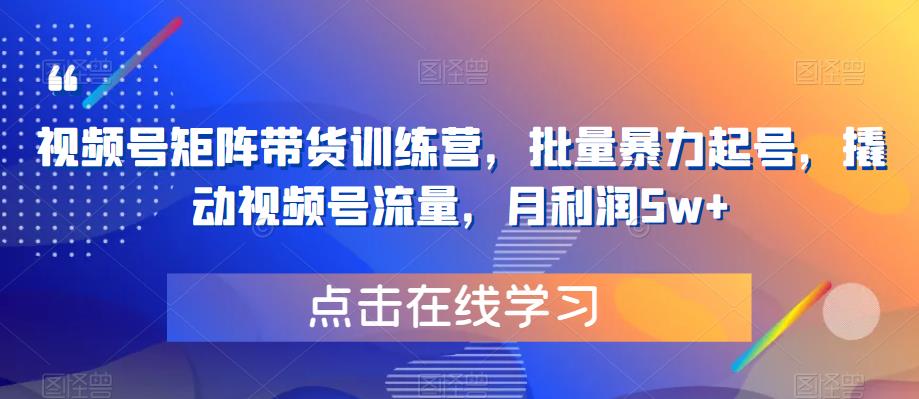 【副业项目6254期】视频号矩阵带货训练营，批量暴力起号，撬动视频号流量，月利润5w+-齐力副业