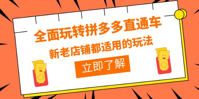 【副业项目6359期】全面玩转拼多多直通车，新老店铺都适用的玩法（12节精华课）-齐力副业
