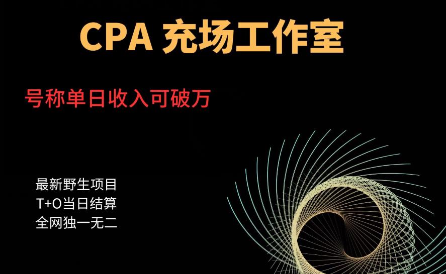 【副业项目6075期】cpa充场工作室，号称单日收入10000+（揭秘）-齐力副业