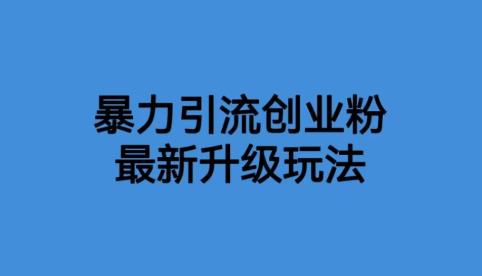 【副业项目6372期】价值1980一千个野路子暴力引流最新升级玩法【揭秘】-齐力副业