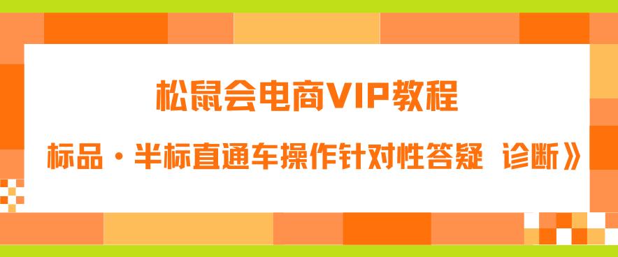 【副业项目6373期】松鼠会电商VIP教程：松鼠《付费推广标品·半标直通车操作针对性答疑&诊断》-齐力副业