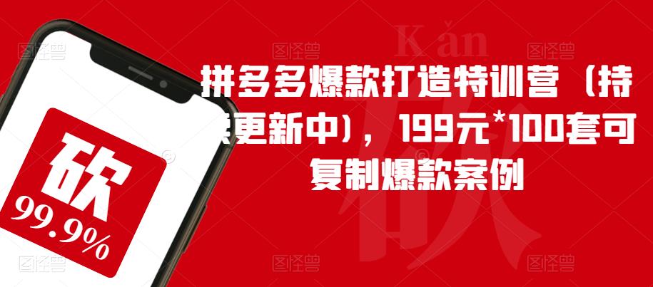 【副业项目6391期】拼多多爆款打造特训营（持续更新中)，199元*100套可复制爆款案例-齐力副业
