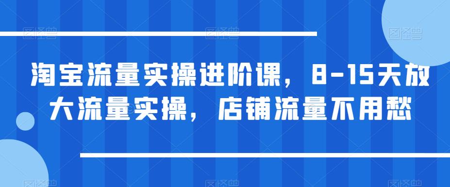 【副业项目6415期】淘宝流量实操进阶课，8-15天放大流量实操，店铺流量不用愁-齐力副业