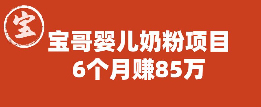 【副业项目6416期】宝哥婴儿奶粉项目，6个月赚85w【图文非视频】【揭秘】-齐力副业