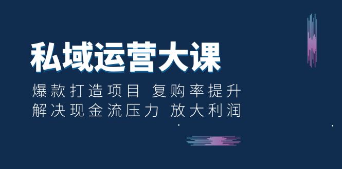 【副业项目6574期】私域运营大课：爆款打造项目 复购率提升 解决现金流压力 放大利润-齐力副业