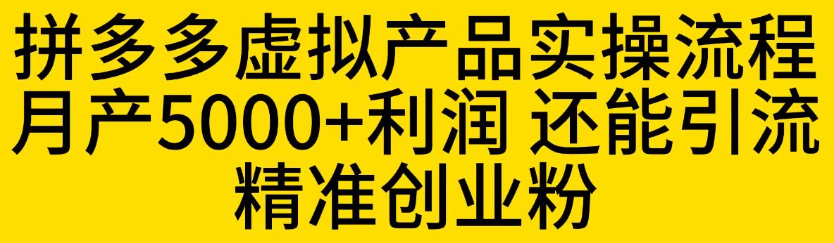 【副业项目6569期】拼多多虚拟产品实操流程，月产5000+利润，还能引流精准创业粉-齐力副业