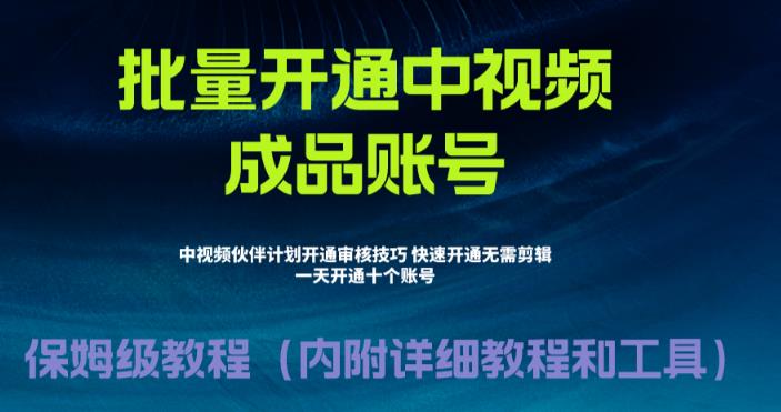 【副业项目6718期】外面收费1980暴力开通中视频计划教程，附 快速通过中视频伙伴计划的办法-齐力副业