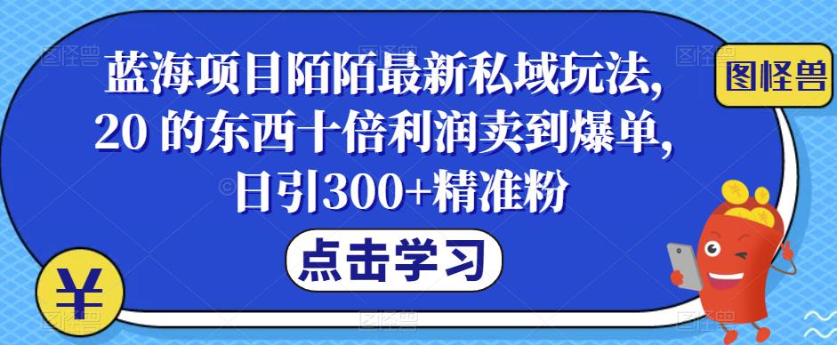 【副业项目6699期】蓝海项目陌陌最新私域玩法，20 的东西十倍利润卖到爆单，日引300+精准粉【揭秘】-齐力副业