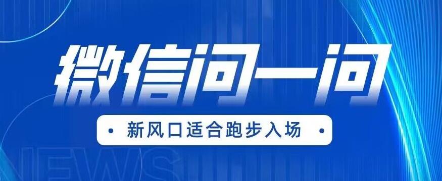 【副业项目6729期】全网首发微信问一问新风口变现项目（价值1999元）【揭秘】-齐力副业