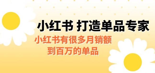 【副业项目6703期】某公众号付费文章《小红书打造单品专家》小红书有很多月销额到百万的单品-齐力副业