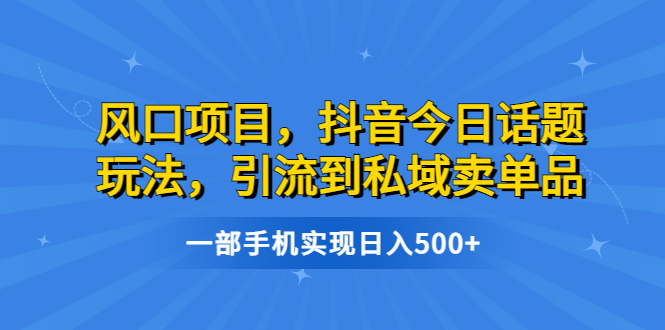 【副业项目6791期】风口项目，抖音今日话题玩法，引流到私域卖单品，一部手机实现日入500+-齐力副业
