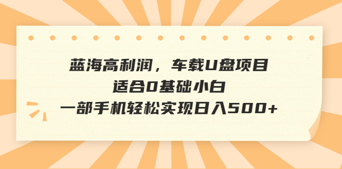 【副业项目6800期】蓝海高利润，车载U盘项目，适合0基础小白，一部手机轻松实现日入500+-齐力副业