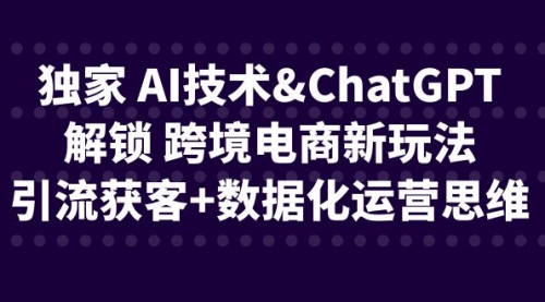 【副业项目6780期】独家 AI技术&ChatGPT解锁 跨境电商新玩法，引流获客+数据化运营思维-齐力副业