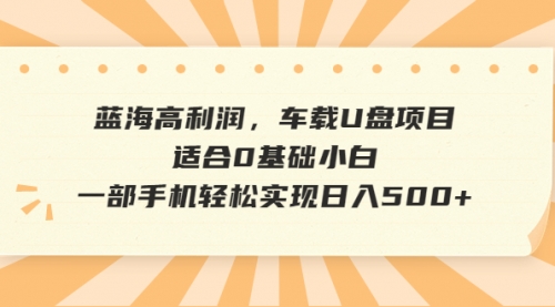 【副业项目6781期】蓝海高利润，车载U盘项目，适合0基础小白，一部手机轻松实现一天500+-齐力副业