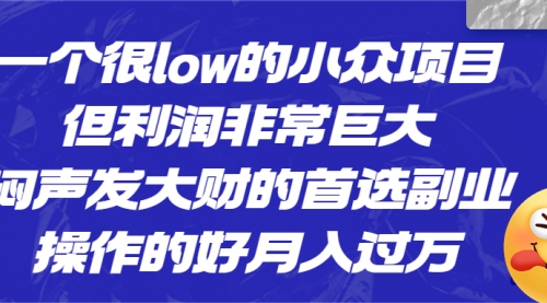 【副业项目6782期】一个很low的小众项目，但利润非常巨大，闷声发大财的首选副业，月入过万-齐力副业