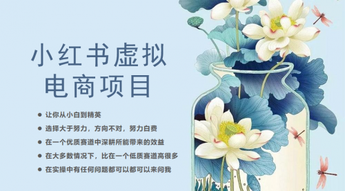 【副业项目6786期】小红书虚拟电商从0到1，让你从小白到精英（20节实操课程）-齐力副业