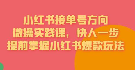 【副业项目6820期】接单号方向·小红书微操实践课，快人一步，提前掌握小红书爆款玩法-齐力副业