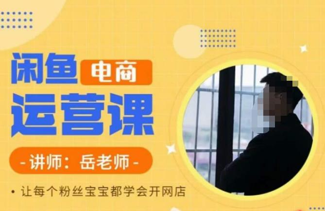 【副业项目6829期】岳老师·闲鱼电商运营课，让每个粉丝宝宝都学会开网店-齐力副业