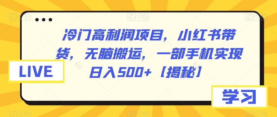 【副业项目6875期】冷门高利润项目，小红书带货，无脑搬运，一部手机实现日入500+【揭秘】-齐力副业