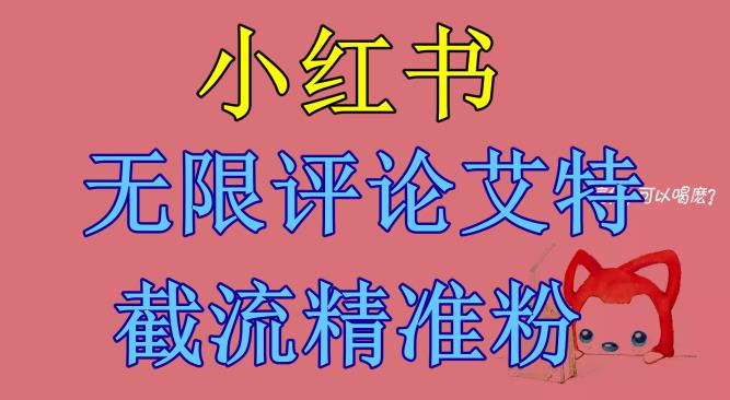 【副业项目6846期】小红书无限评论艾特截流精准粉（软件+教程）-齐力副业