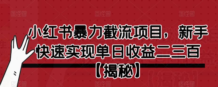 【副业项目6889期】小红书暴力截流项目，新手快速实现单日收益二三百【仅揭秘】-齐力副业