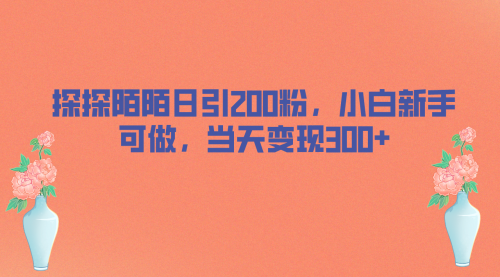 【副业项目7026期】探探陌陌日引200粉，小白新手可做，当天就能变现300+-齐力副业