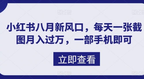 【副业项目7078期】八月新风口，小红书虚拟项目一天收入1000+-齐力副业