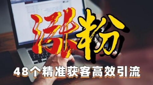 【副业项目7097期】独家分享48个引流绝技，再没粉丝只能怪自己了！-齐力副业