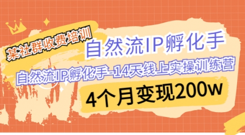 【副业项目7109期】自然流IP孵化手-14天线上实操训练营 4个月变现200w-齐力副业