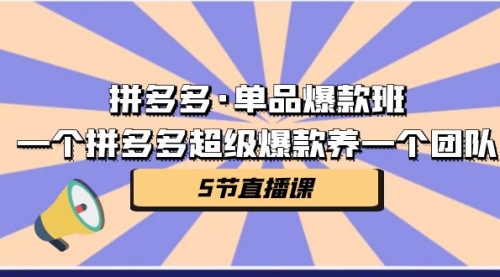 【副业项目第7171期】拼多多·单品爆款班，一个拼多多超级爆款养一个团队-齐力副业