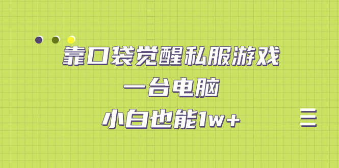 【副业项目7248期】靠口袋觉醒私服游戏，一台电脑，小白也能1w+（教程+工具+资料）-齐力副业