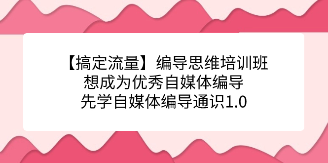 【副业项目7456期】编导思维培训班，想成为优秀自媒体编导先学自媒体编导通识1.0-齐力副业