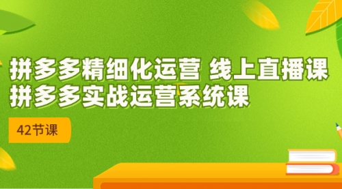 【副业项目7292期】2023年新课-拼多多精细化运营-齐力副业