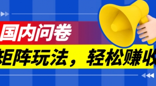 【副业项目7605期】保姆级教程，国内问卷矩阵玩法，轻松赚收益-齐力副业