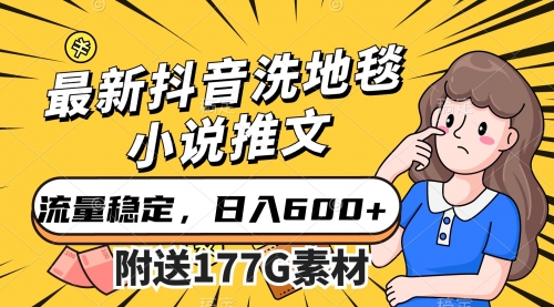 【副业项目7638期】最新抖音洗地毯小说推文，流量稳定，一天收入600（附177G素材）-齐力副业