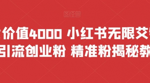 【副业项目7956期】价值4000 小红书无限艾特暴力引流创业粉 精准粉揭秘教程-齐力副业
