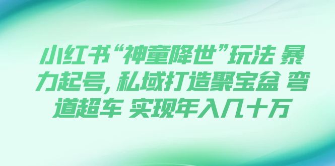 【副业项目7983期】小红书“神童降世”玩法 暴力起号,私域打造聚宝盆-齐力副业