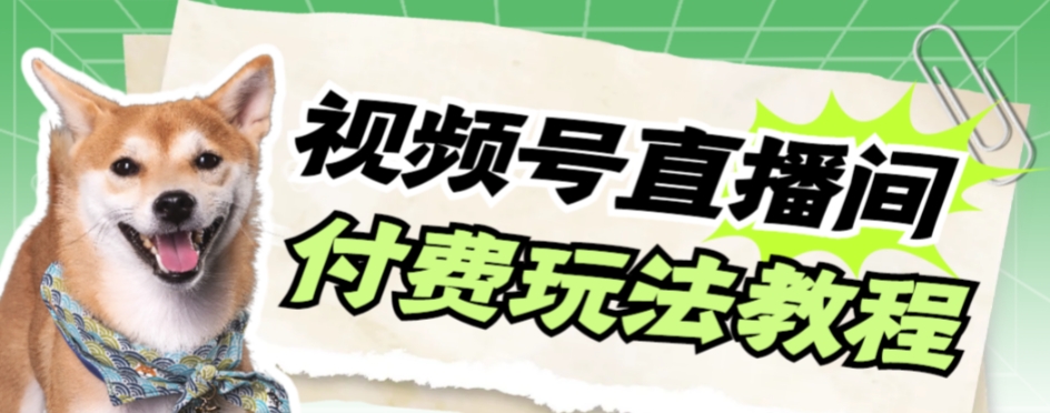 【副业项目7973期】视频号美女付费无人直播，轻松日入500+-齐力副业