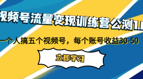 【副业项目8026期】视频号流量变现训练营公测1.0：一个人搞五个视频号，每个账号收益30-50-齐力副业