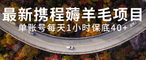 【副业项目8232期】最新携程薅羊毛项目，单账号每天1小时保底收益40+，可矩阵操作-齐力副业