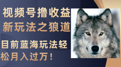 【副业项目8271期】视频号撸收益新玩法之狼道，目前蓝海玩法轻松月入过万！-齐力副业