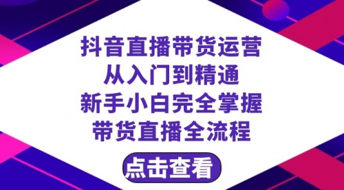 【副业项目8483期】抖音直播带货 运营从入门到精通，新手完全掌握带货直播全流程（23节-齐力副业